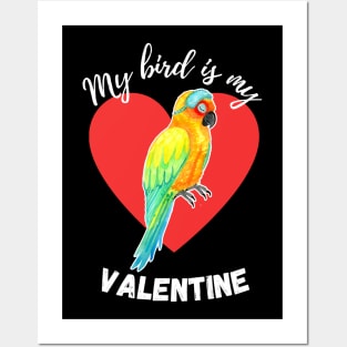 My Bird is My Valentine - Sun Conure Parrot Posters and Art